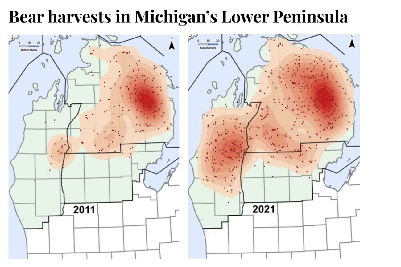 A map showing successful bear hunts in 2011 and 2021