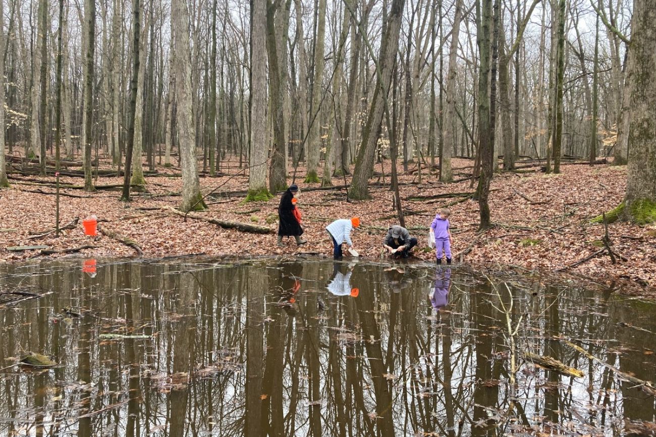 A group of people explore the edges of a vernal pool