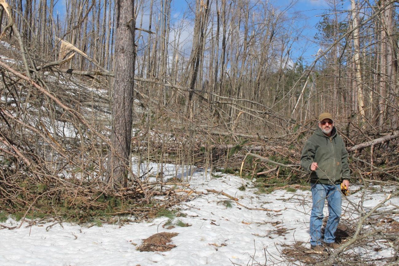 Bill Sterrett stands among downed trees on his northern Michigan property after a March 2025 ice storm
