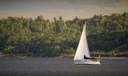 A sailboat on the lake