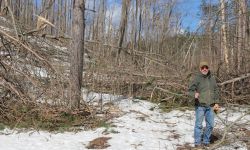 Bill Sterrett stands among downed trees on his northern Michigan property after a March 2025 ice storm
