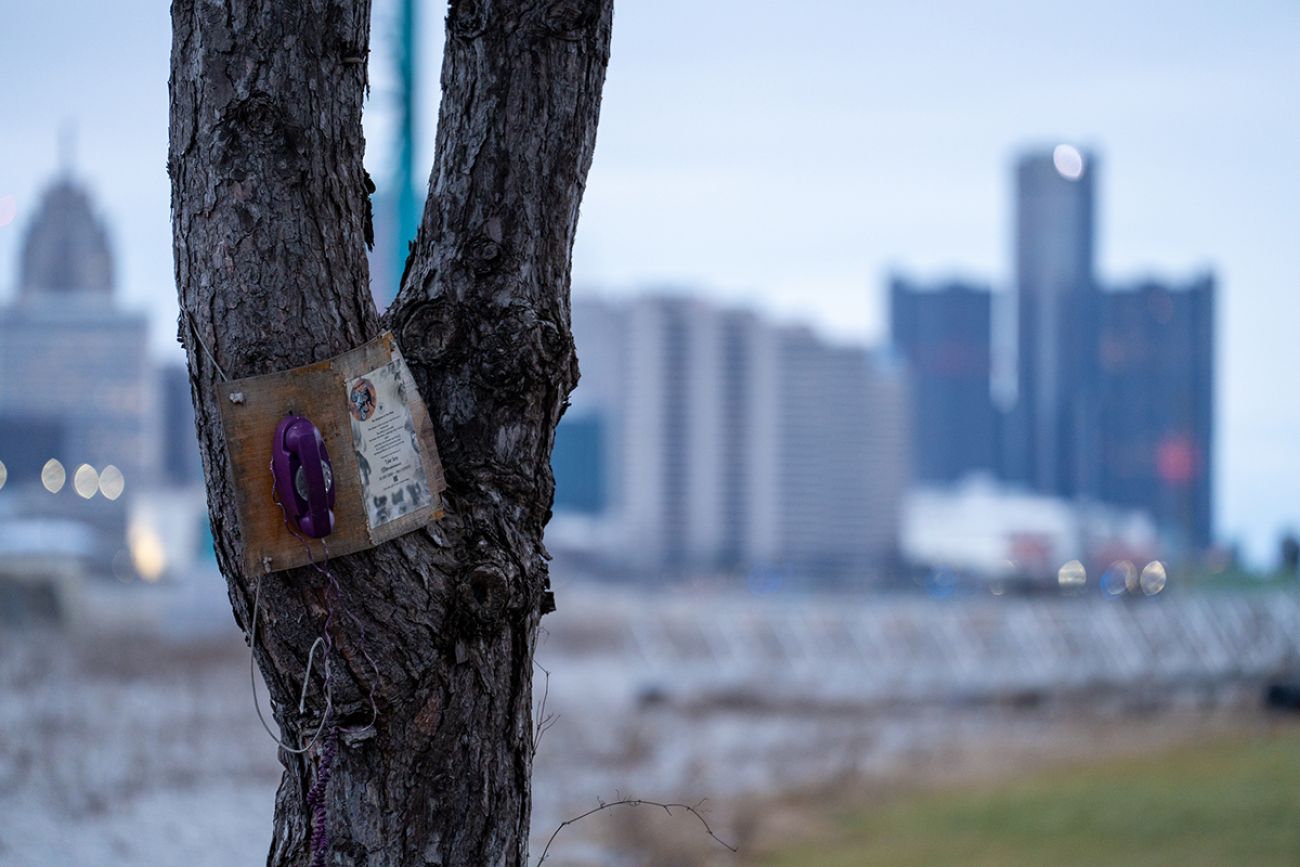 A plaque on a tree for a wind phone