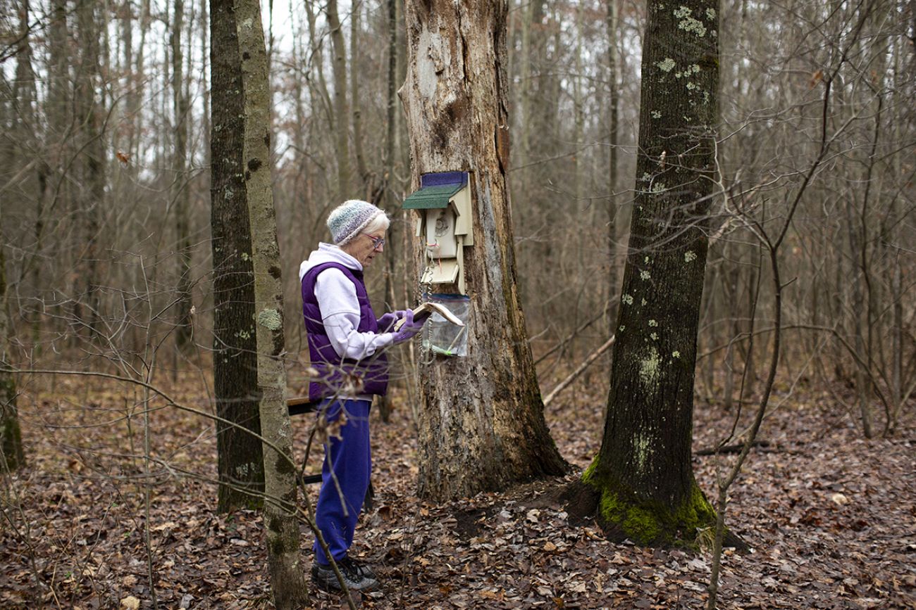 Kim Gillow stands next to a tree in a forest. She speaks into a wind phone