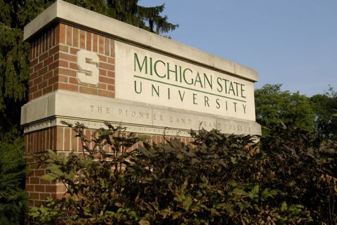 Michigan State University