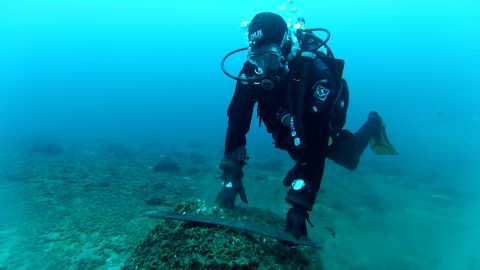 A diver in black equipment looks at a piece of wood