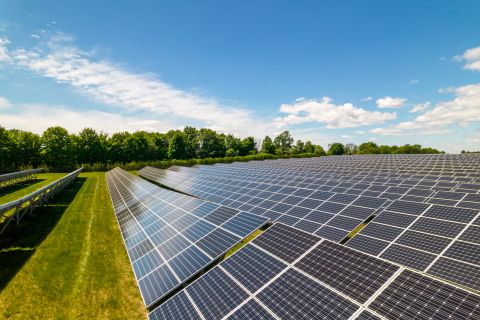  Rows of sustainable energy solar panels set up on the farmland.