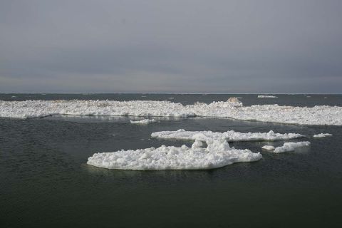 A little bit of in Lake Michigan near Holland, Michigan. 