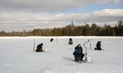 Five anglers on the frozen lake. 